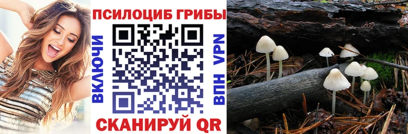 Псилоцибиновые грибы Psilocybe  Купить закладки  Петров Вал 